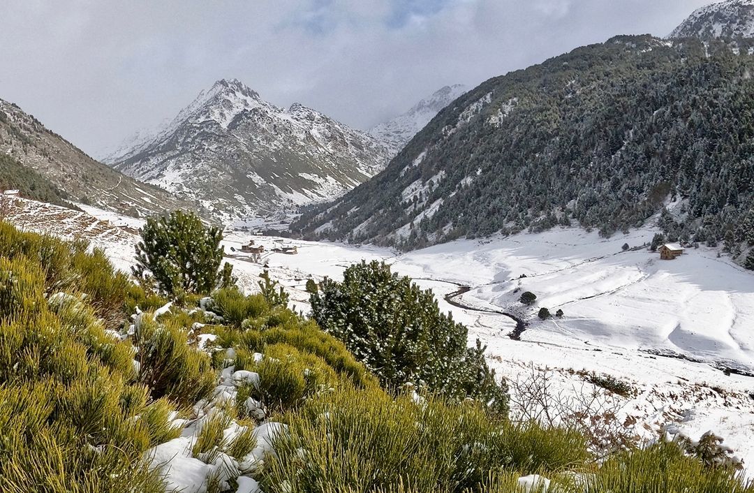 Joan Enric Vives, Arzobispo d’Urgell i Copríncep d’Andorra