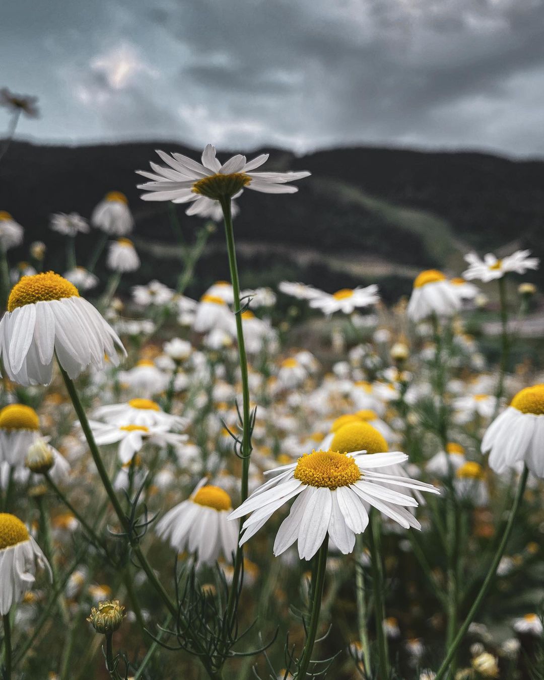 Standard & Poor's sitúa el rating de Andorra en BBB+/A-2, la mejor nota desde 2014