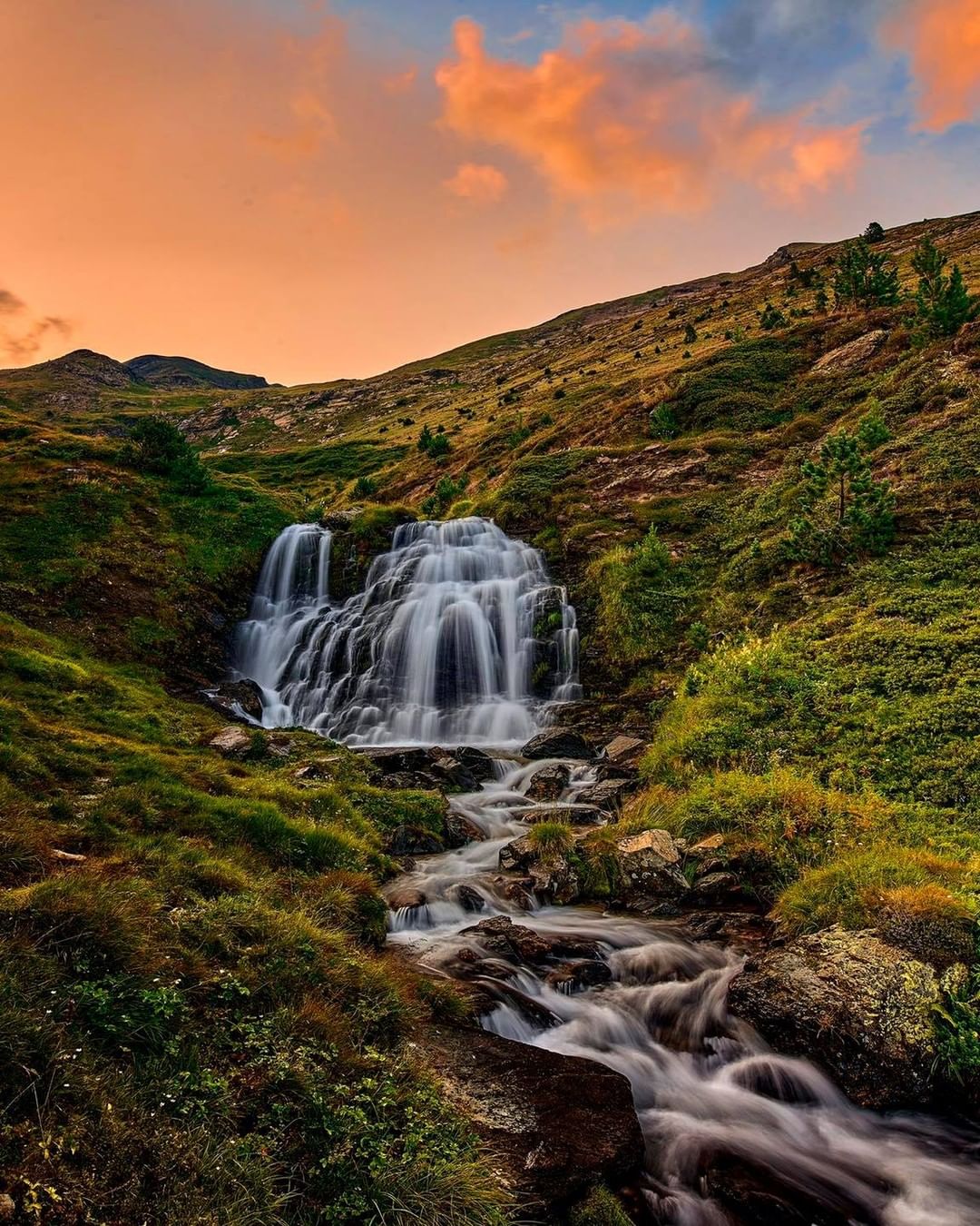 Collado compró 3 depas en Miami y 2 aeronaves vía Andorra