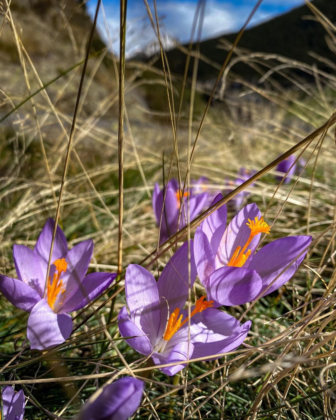 Las solicitudes de inversión extranjera en Andorra aumentan un 275% en 2021 hasta los 823 millones