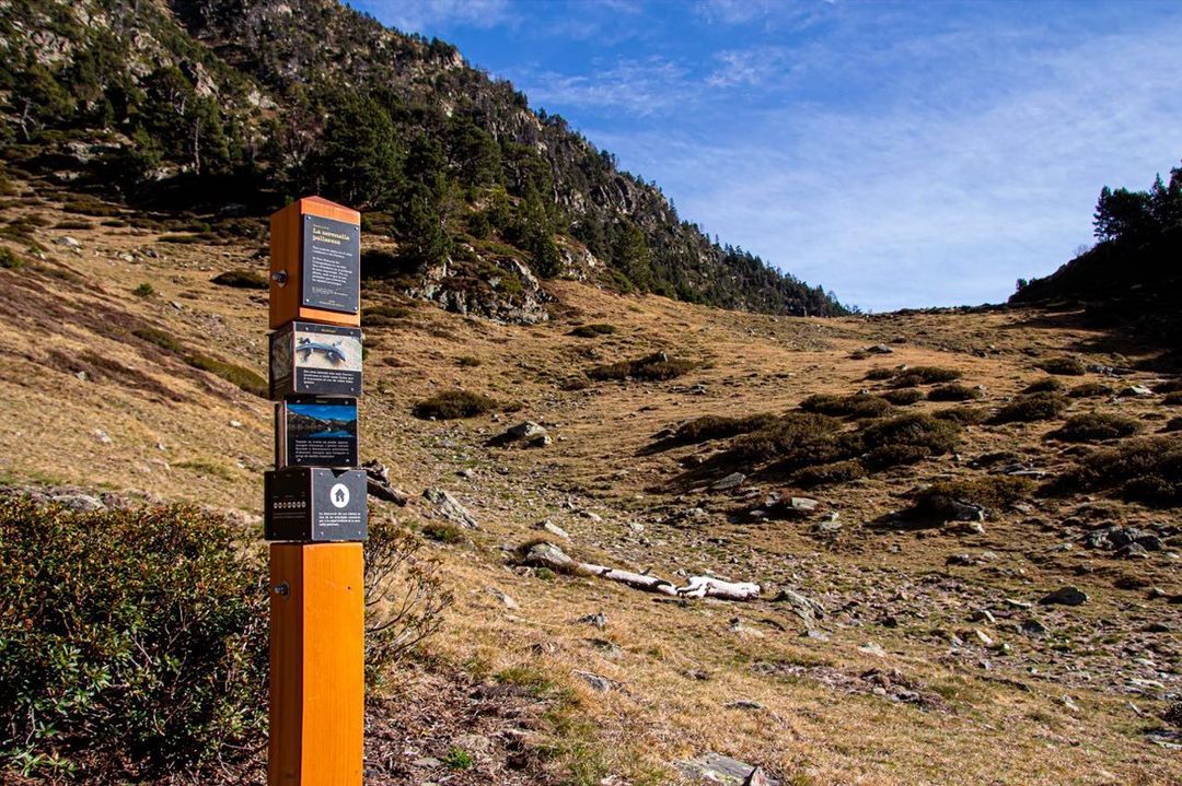 Agents immobiliaris alerten de l'efecte rebot que provocaran els preus elevats de l'habitatge