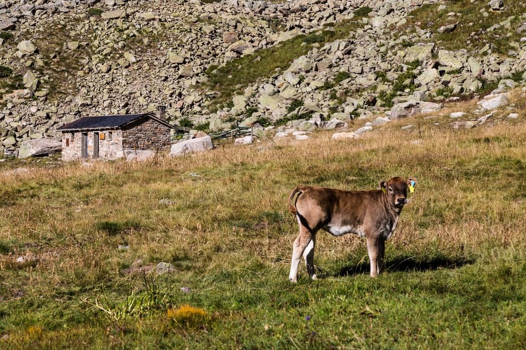 “Cal invertir a millorar les infraestructures de comunicació per poder viure a distància del centre”